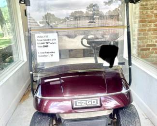 TXT Electric 36volt w/ 6 new batteries 