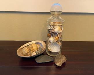 Seashell Collection with Glass Jar and Beach Rocks