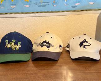 Washington Huskies Hats