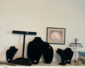 Jewelry displays 
