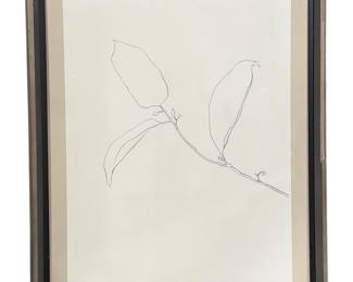 Botanical Pencil Drawing, Attr. ELLSWORTH KELLY