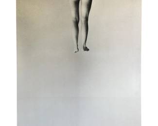 Wall Size Avant Garde Photography Print