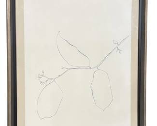 Botanical Pencil Drawing, Attr. ELLSWORTH KELLY
