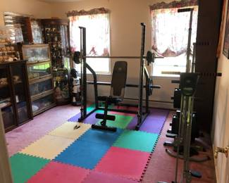 Full gym Smith Machine