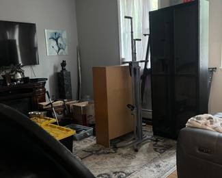 Book cases with doors 