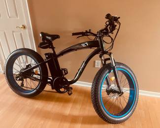 Ebike 1000 watts 