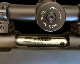 Savage Model 11 (.308 Winchester)