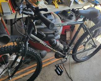 Murray Baja bike