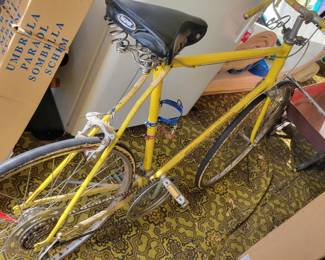 Vintage boy's Schwinn Continental bike