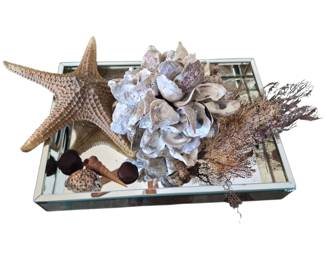 Lovely mirrored beach theme decor