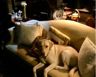 Chauncey.  He's never for sale but come visit!