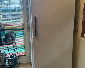 Full standing freezer - fully operable