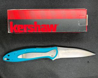 Kershaw Leek Assisted Opening Knife Teal 1660TEAL