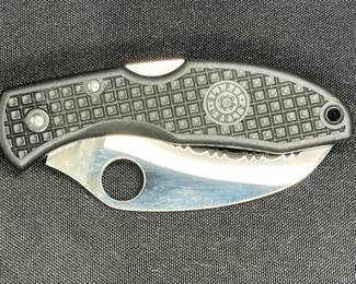 Spyderco Tasman SALT 2 Folding nife