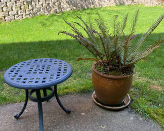 Lot 82: Outdoor Table and Pot With Fern