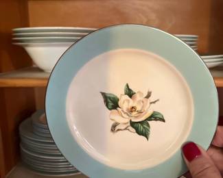 Set of 1950s Dishes 