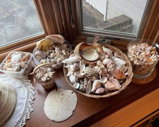 Shells-never seen some this teeny tiny!