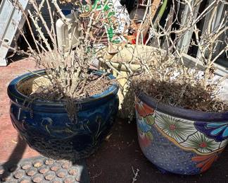 Decorative Ceramic Planters with Dried Plants