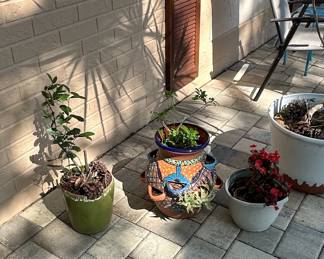 Terracotta Strawberry Planter with Decorative Glaze