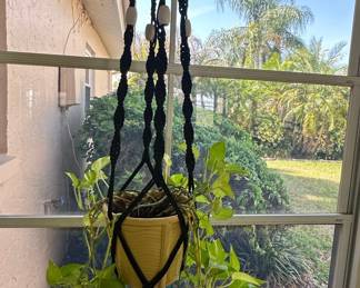 Macrame Plant Hanger with Yellow Pot and Pothos Plant