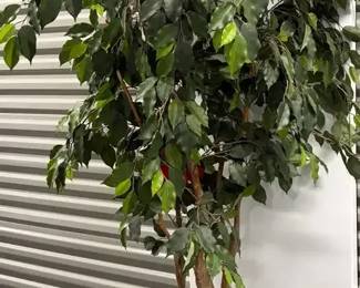 Artificial Ficus Tree