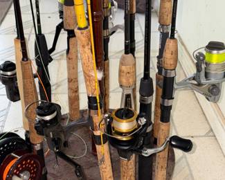 Everything you need to go fishing