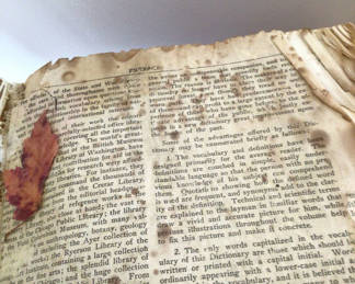 Lot 200: Open antique dictionary with pressed leaf and handwritten inscription