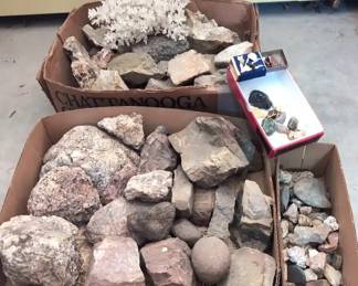 White Coral, Rough Uncut And Polished Stones