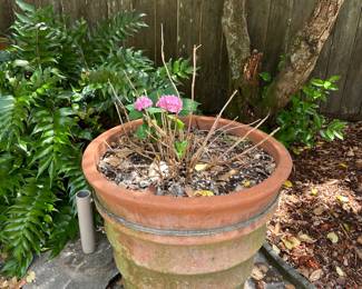 many outdoor pots/planters