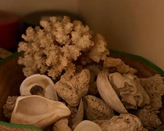 Shells