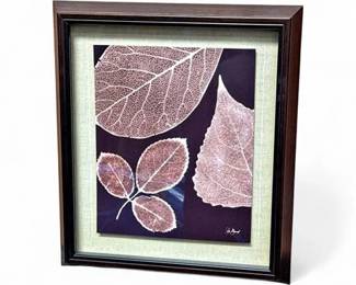 Lot 227  Framed Botanical Leaf Skeleton Print