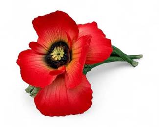 Lot 678A  Capodimonte Porcelain Poppy