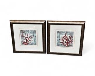 Lot 224  Set Of Framed Red Coral Illustrations