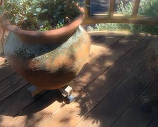 Terracotta Planter Pot with Rose Bush