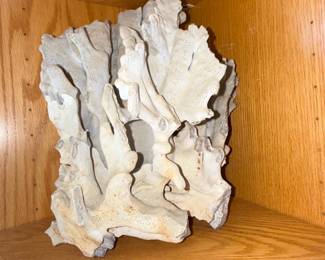 Natural Gorgonian Coral Specimen