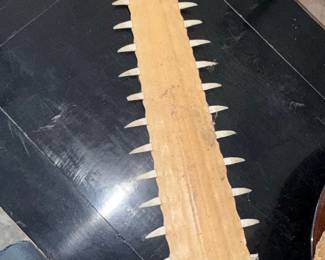 New Asset to Be Processed