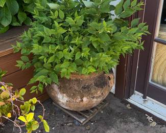 Terracotta Planter Pot on Wooden Dolly
