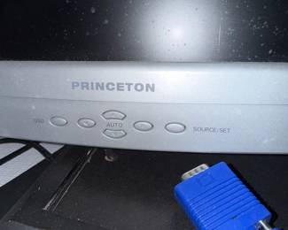 Princeton 17" LCD Monitor