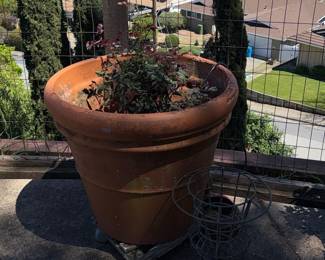 Large Terracotta Planter Pot