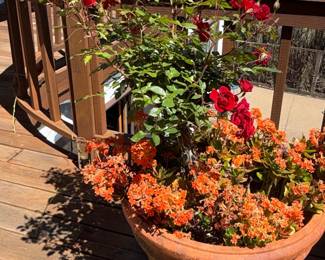Terracotta Planter with Red Roses and Kalanchoe