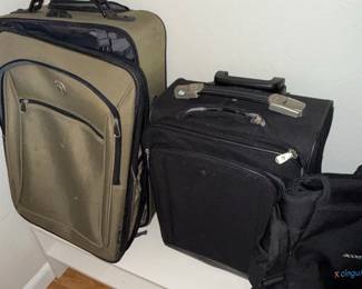 Assorted Luggage Set