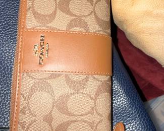 Coach Accordion Zip Wallet In Signature Canvas