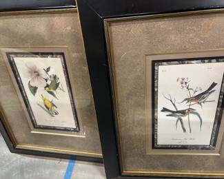 Pair Bowen warblers-- beautiful framing