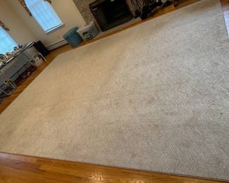 Large Area Rug