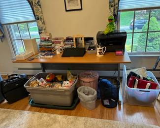 Desk, Books, Stuffed Animals