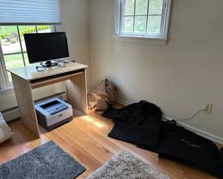 Monitor, Small Desk, Travel Bags