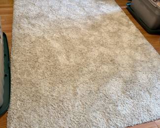 Shaggy Carpet
