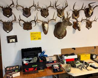 European mounts all $80