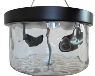Lot #198 - Flush Mount Ceiling Light Black Indoor 2 -Light Flush Mount Light with Water Glass