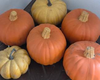 Lot #216 - Decorative Plastic Pumpkins for Fall and Halloween Seasonal Home Decor